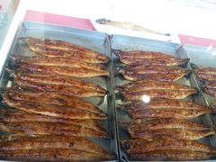 肥美的鰻魚-木津卸壳市场