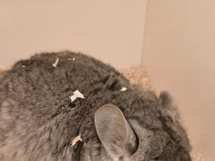 -龙猫仔乐园(惠福东路店)