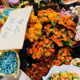 迅捷鲜花批发  《汉中门大街鲜花批发市场》