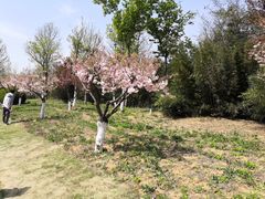 -济南国际园博园