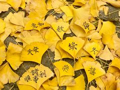 -徽珍源(龙茗路店)