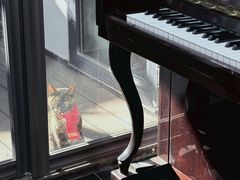 -EATALIA意塔利意式餐厅(鼓楼店)