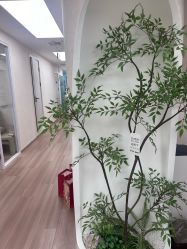 -Lumi露米·美甲美睫品质店