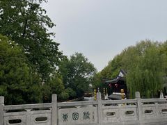 -陶记正宗德州扒鸡(科巷店)