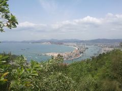 -广东惠东海龟国家级自然保护区