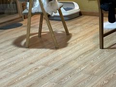 -白兔子密室(长寿路店)