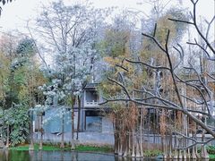 -荔湾湖公园