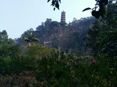 -南沙蒲洲花园