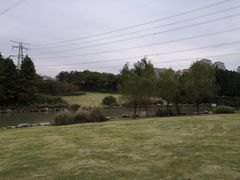 -九里河湿地公园