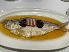 陈年花雕蒸鲥鱼-福1088