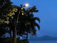 -深圳湾公园(南山区)