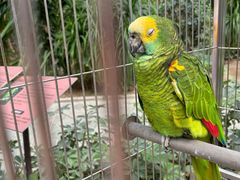 -南宫五洲植物乐园