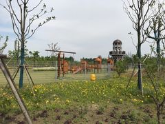 -上海长兴岛郊野公园