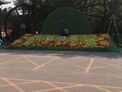 -呀路古热带植物园