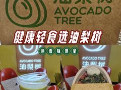 -油梨树AVOCADO TREE(嘉里中心店)