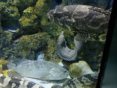 -福州罗源湾海洋世界旅游区