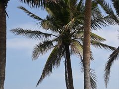 -西秀海滩公园