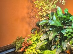 -隐炉和牛烧肉店(群力店)