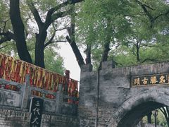 -大槐树寻根祭祖园