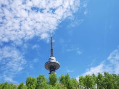 -龙塔