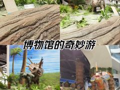 -辽宁古生物博物馆