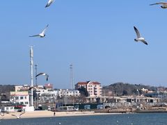 -养马岛旅游度假区
