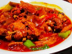 -阿五黄河大鲤鱼(纬三路店)