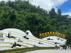 -西双版纳原始森林公园