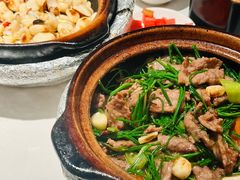 -煲煲好(朝阳门店)