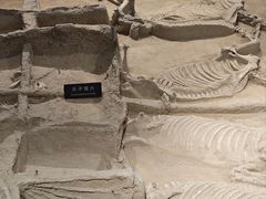 -洛阳周王城天子驾六博物馆