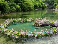 -焦作青龙峡风景名胜区