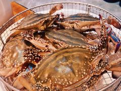 -海味当家·蒸锅海鲜(星海公园店)