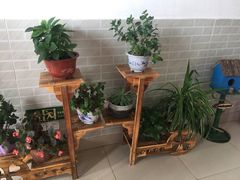 -美味之家·湖景农家乐(太湖东山店)