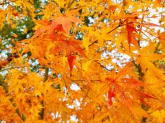 -东钱湖旅游度假区