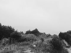 -七娘山