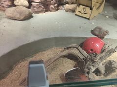 -正佳雨林生态植物园