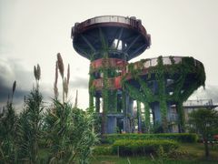 -芒洲湿地公园