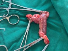 -安安宠医·安宠宠物医院