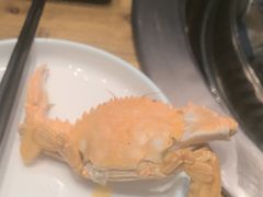 -锅老头铁锅炖•大锅蒸汽海鲜(韩乐坊店)