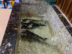 -哈尔滨东北铁锅炖(都督街店)