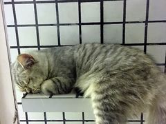 -娜娜家•Nana’Garden (福州道店)