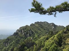 -王顺山国家森林公园