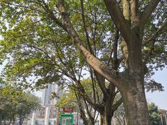 -四川大学(望江校区)