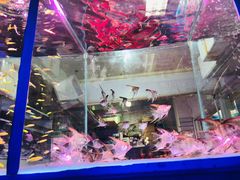 -三旗百汇商品城