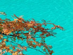 -叠溪松坪沟景区