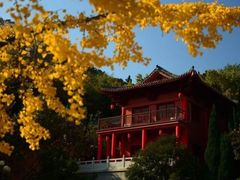 -石岛赤山风景区