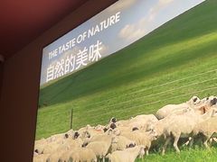 -巴奴毛肚火锅(二七万达店)
