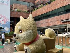 -新城市广场