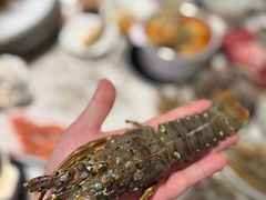 -阳光岛·海鲜盛宴(银泰中心in99店)
