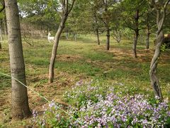 -燕郊植物园